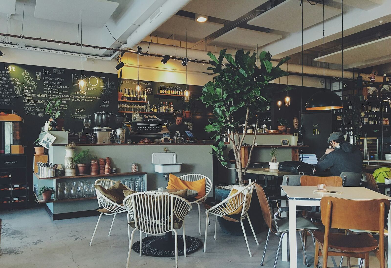 A warm, plant-filled cafe interior set for the morning rush
